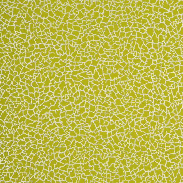 Baker Lifestyle Wallpaper Ming Lime/Silver