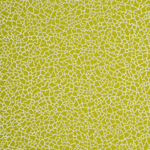 Baker Lifestyle Wallpaper Ming Lime/Silver