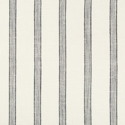 Kravet Fabric 35528-51