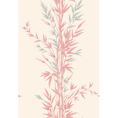 Cole & Son Wallpaper Bamboo Pink