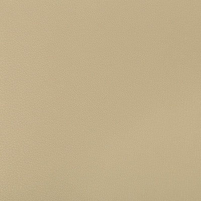 Kravet Fabric Syrus Stucco