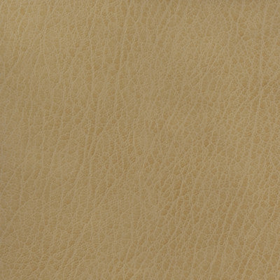 Kravet Fabric Celine-106