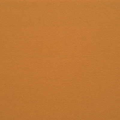Kravet Fabric Gato-616