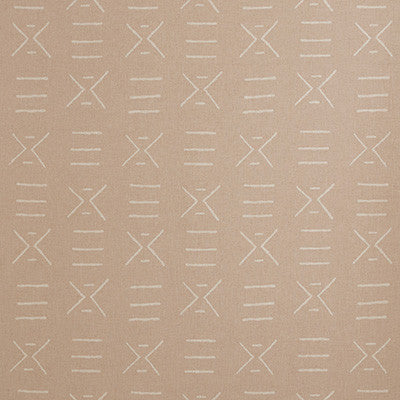 Kravet Fabric Kongo Plaster