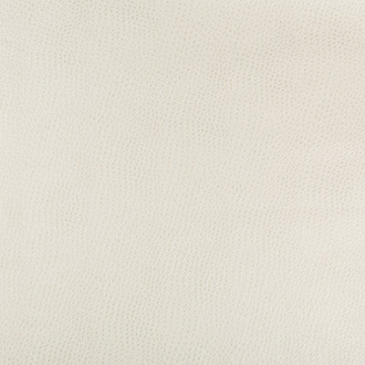 Kravet Fabric Hubble-111