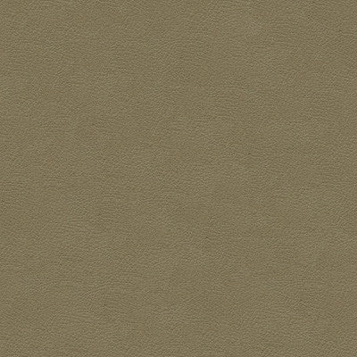 Kravet Fabric Grana-11