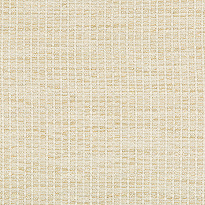 Kravet Fabric 35123-116