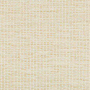 Kravet Fabric 35123-116