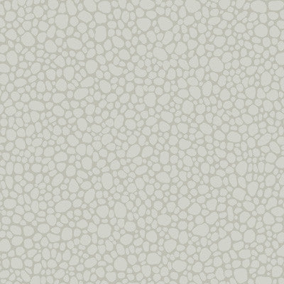 Cole & Son Wallpaper Pebble Pale Grey