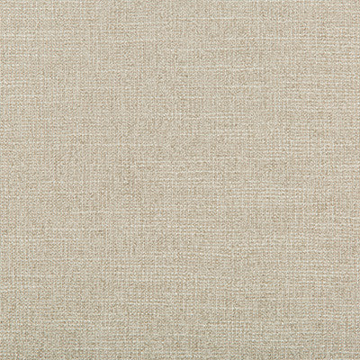 Kravet Fabric Adaptable Quartz