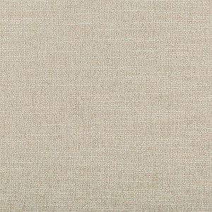 Kravet Fabric Adaptable Quartz