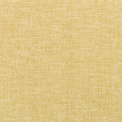 Kravet Fabric 35518-14