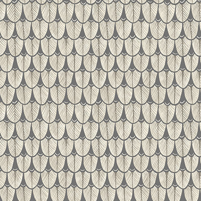 Cole & Son Wallpaper Narina Black & White