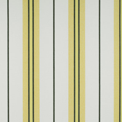 Gaston Y Daniela Fabric Burano Onyx/Amarillo