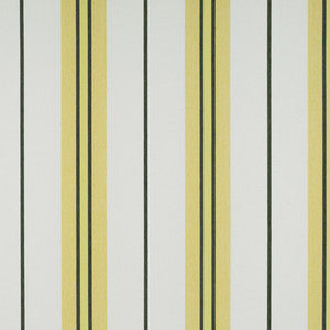 Gaston Y Daniela Fabric Burano Onyx/Amarillo