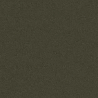 Kravet Fabric Berta-21