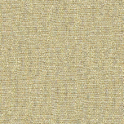 Kravet Fabric 4161-1116
