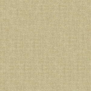 Kravet Fabric 4161-1116