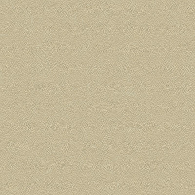 Kravet Fabric Grana-1116