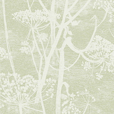 Cole & Son Wallpaper Cow Parsley Olive