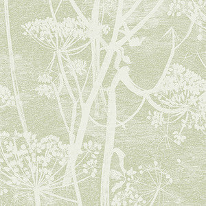 Cole & Son Wallpaper Cow Parsley Olive