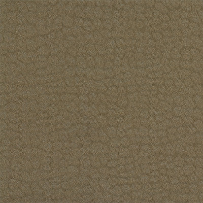 Kravet Fabric 4294-6