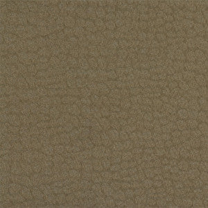 Kravet Fabric 4294-6