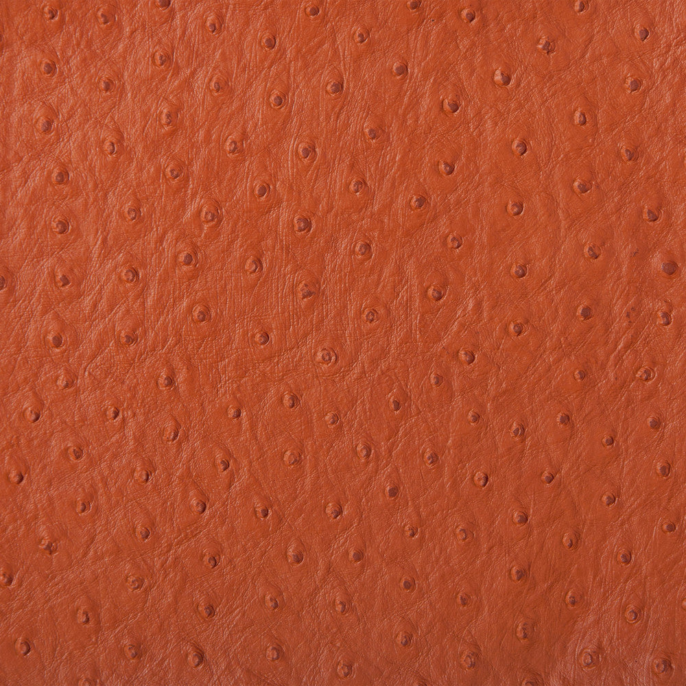 Kravet Fabric Senna-124