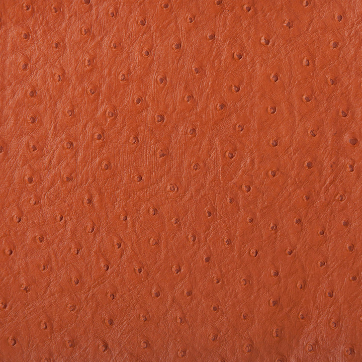 Kravet Fabric Senna-124