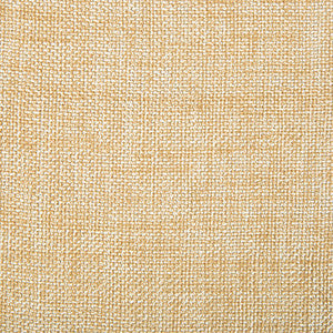 Kravet Fabric 4458-1116
