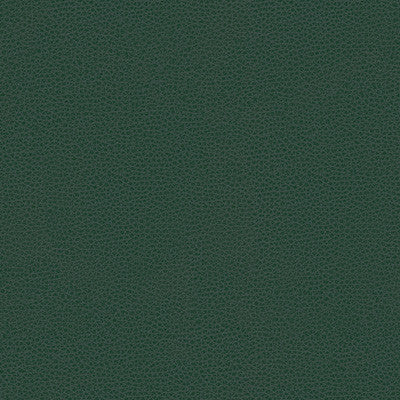 Kravet Fabric Bess-5
