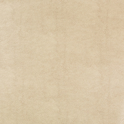 Kravet Fabric Beholder-116