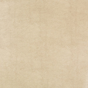 Kravet Fabric Beholder-116
