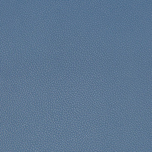 Kravet Fabric Syrus Satellite