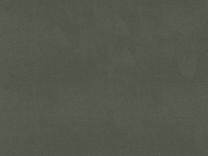 Kravet Fabric Versailles-E205100