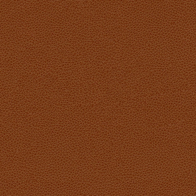 Kravet Fabric  Rigel-24