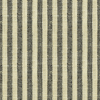 Kravet Fabric 34080-81