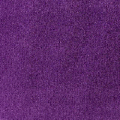 Kravet Fabric Versailles-E296000