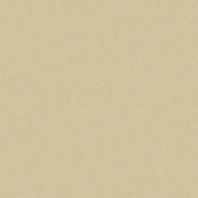 Kravet Fabric 34205-1116