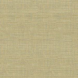 Kravet Fabric 34014-16
