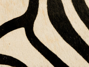 Kravet Fabric Painted Zebra Natural