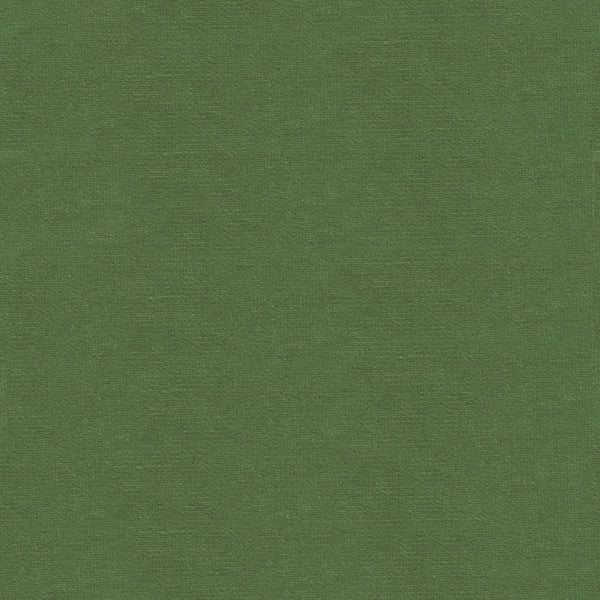 Kravet Fabric Versailles-E266080