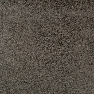 Kravet Fabric Dust-21