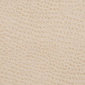 Kravet Fabric Belus-16