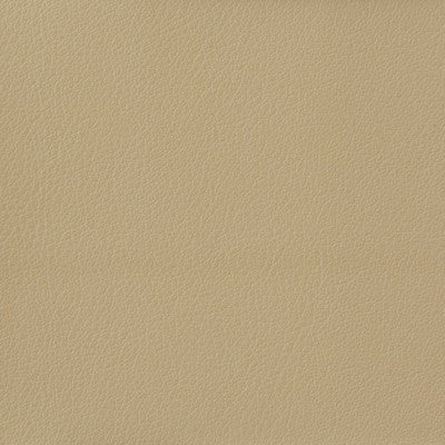 Kravet Fabric Otto-116