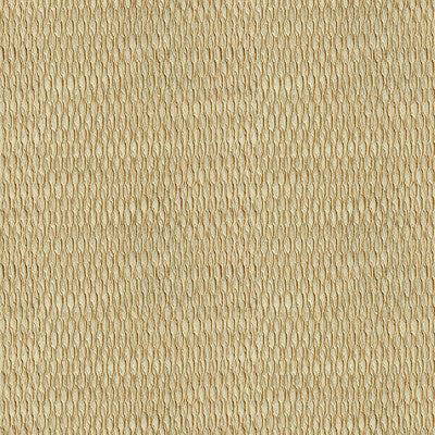 Kravet Fabric 4105-1616