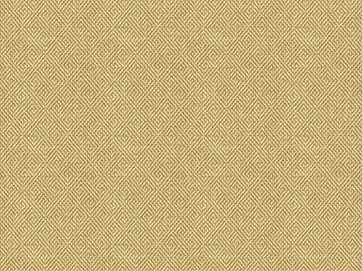 Kravet Fabric 33349-1116