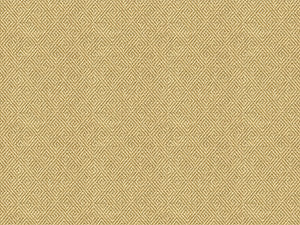 Kravet Fabric 33349-1116