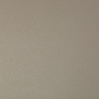 Kravet Fabric Syrus Driftwood