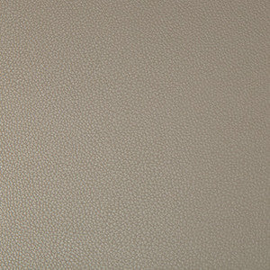 Kravet Fabric Syrus Driftwood